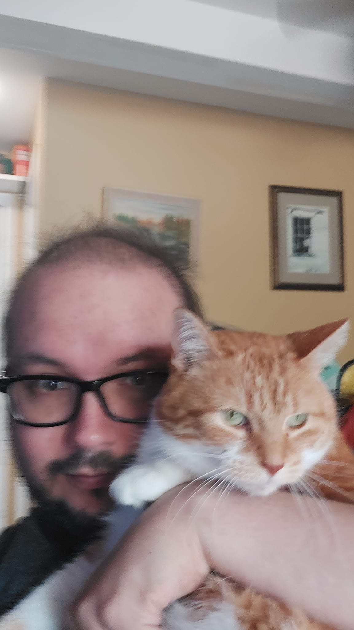 A man sits in a computer chair with thin, fine dark coloured hair and a short beard and moustache, holding an orange cat